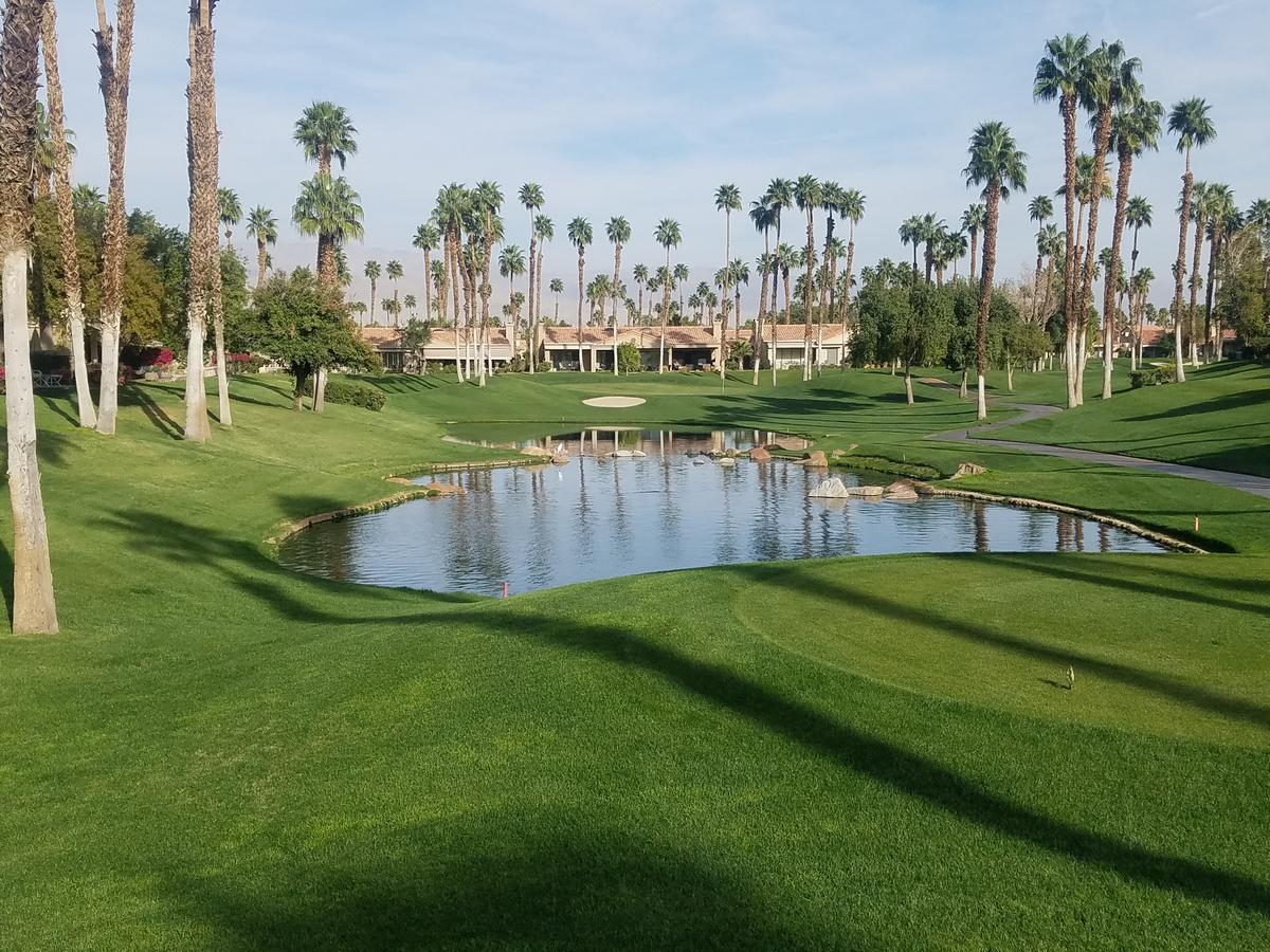Begonia Palm Desert Exterior foto